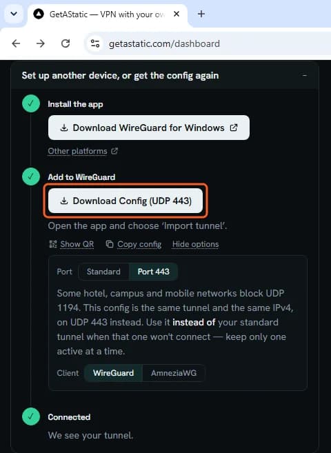 Port 443 selected: the Download Config (UDP 443) button