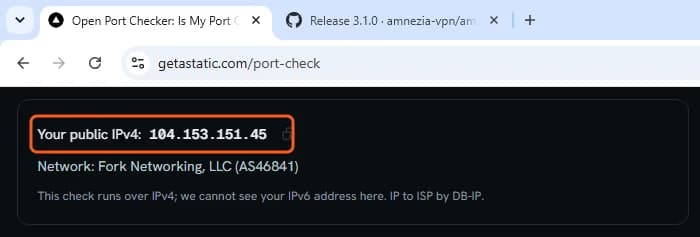 Port checker over AmneziaWG: the same public IPv4